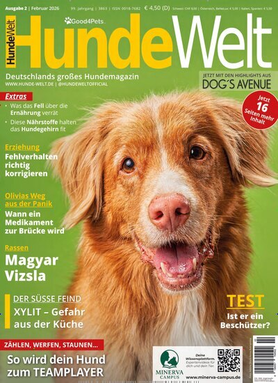 Hundewelt