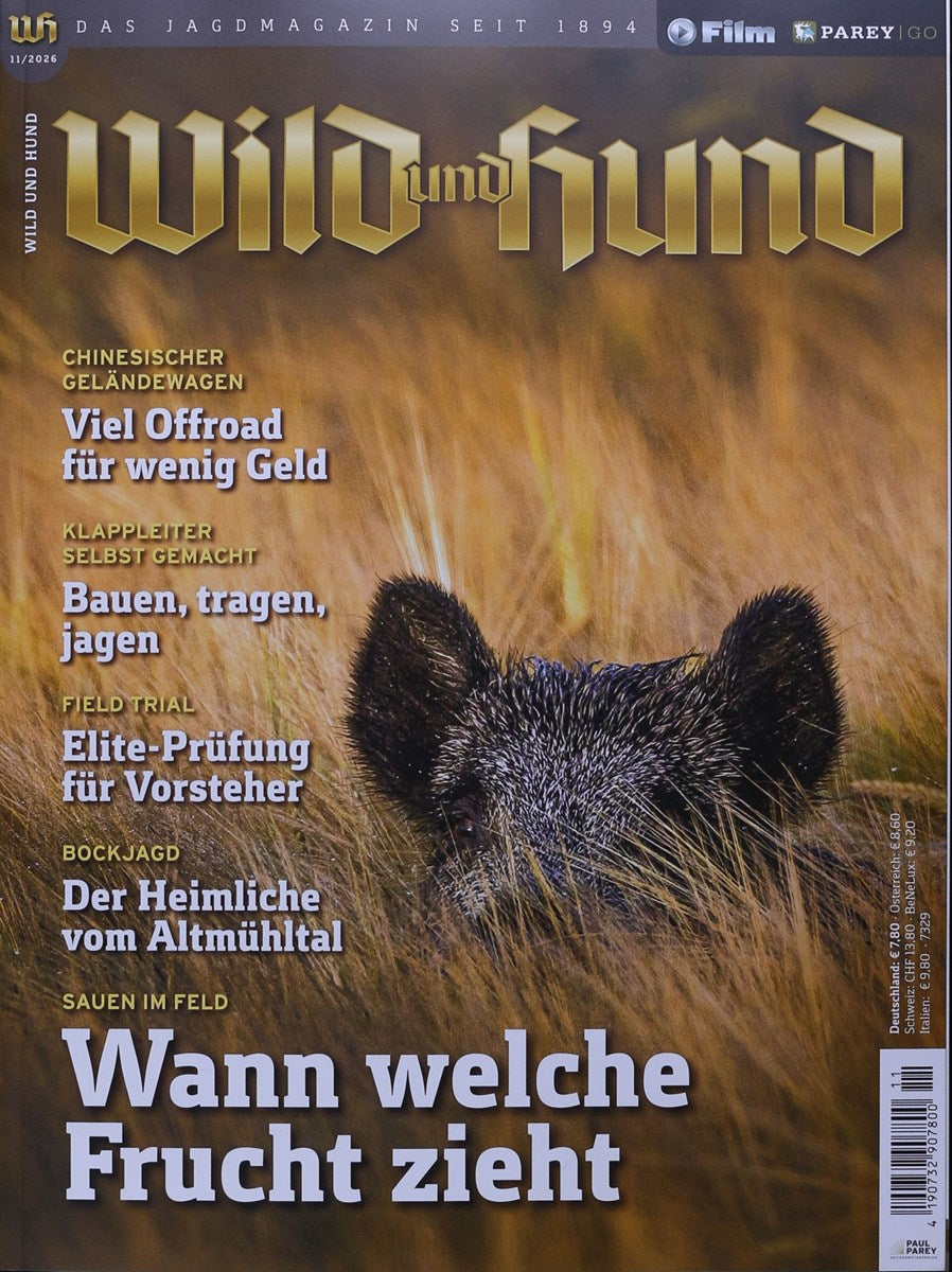 Wild und Hund