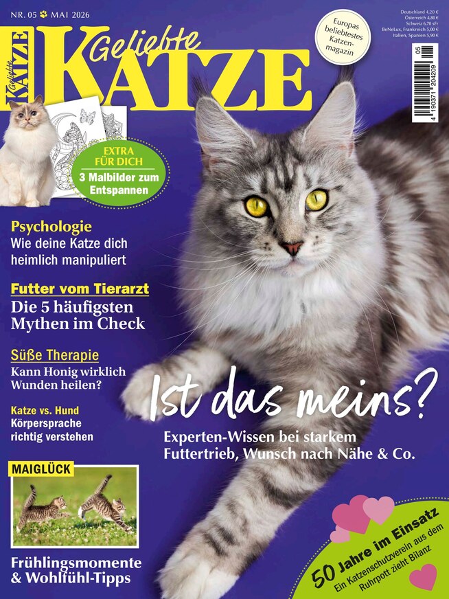 Geliebte Katze