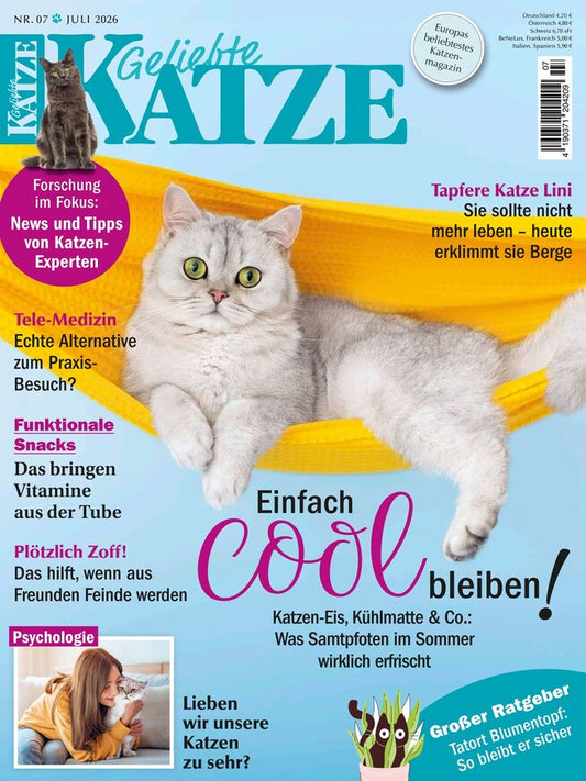 Geliebte Katze