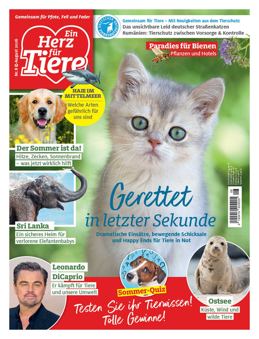 Herz für Tiere
