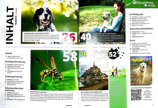 Hundewelt