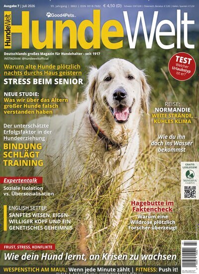 Hundewelt