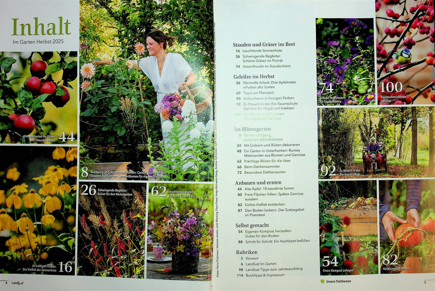 Landlust im Garten Stauden & Gräser