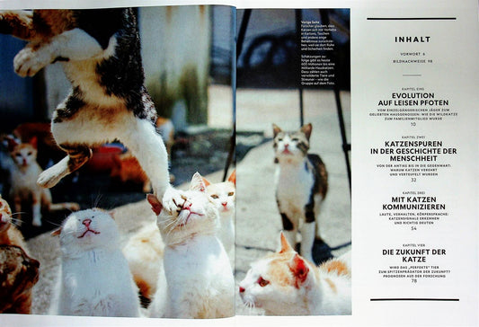 National Geographic Special