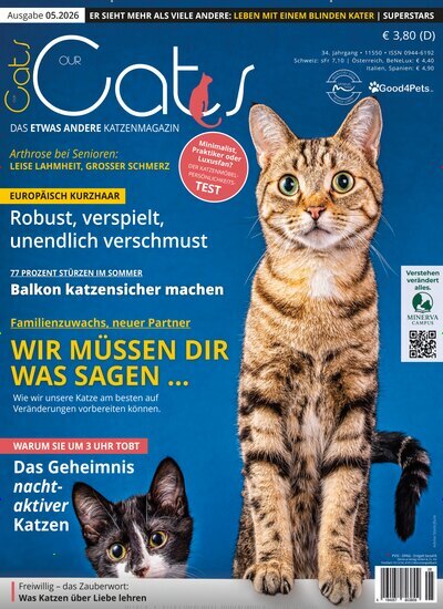 Our Cats
