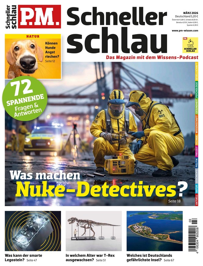 P.M. Schneller schlau