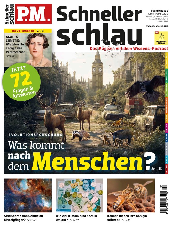 P.M. Schneller schlau