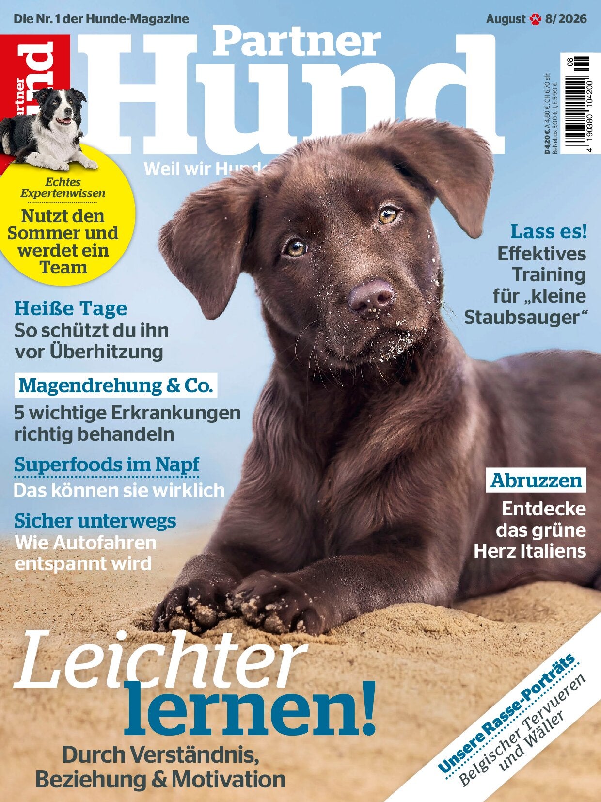 Partner Hund