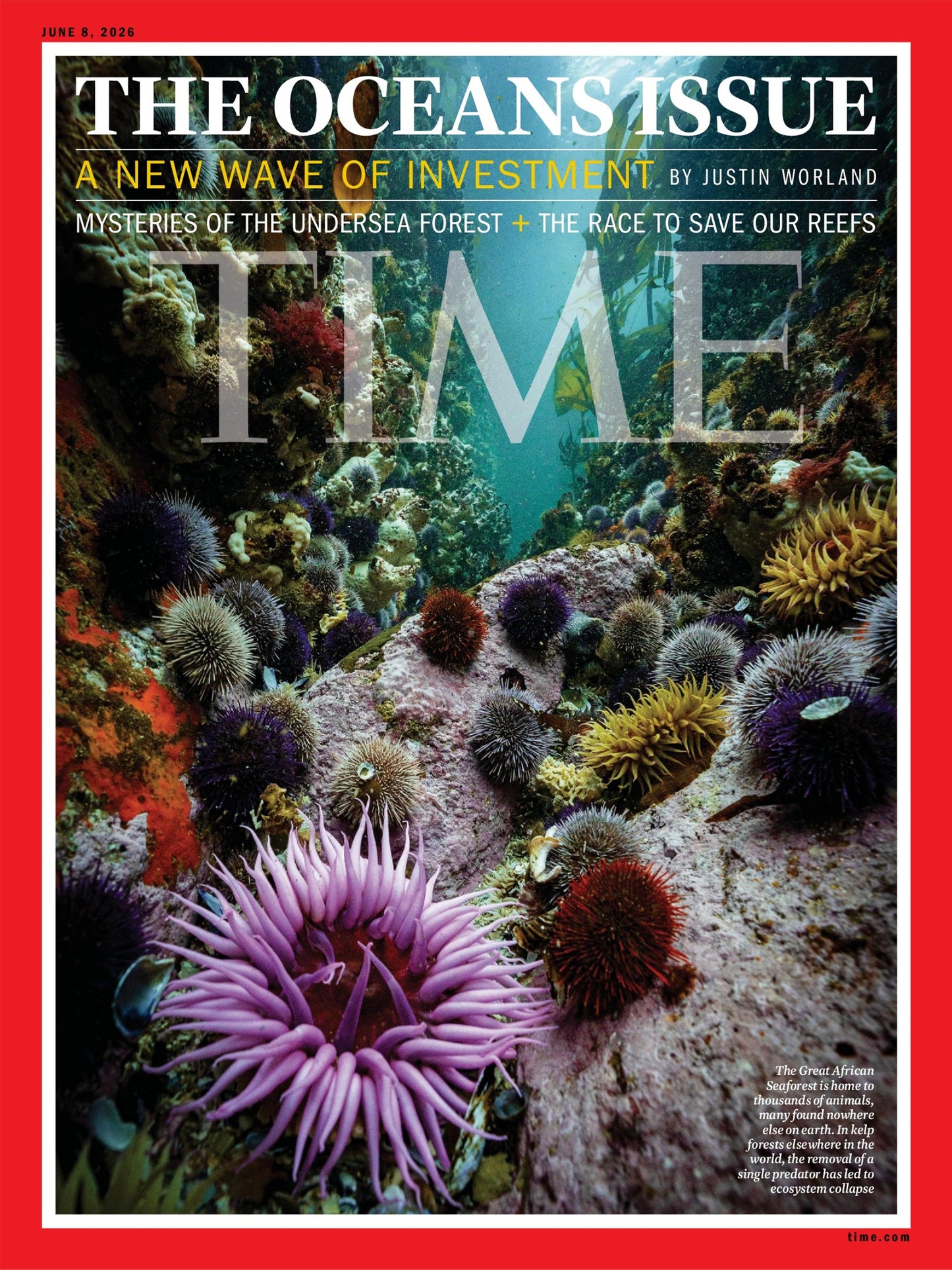 Time Magazine