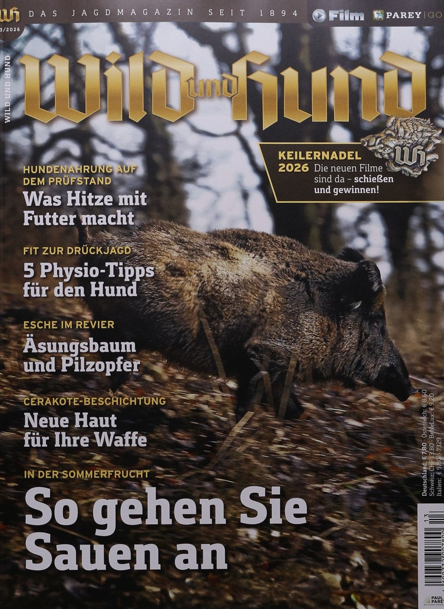 Wild und Hund